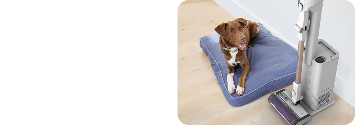 Peria Pet Pro motorizată