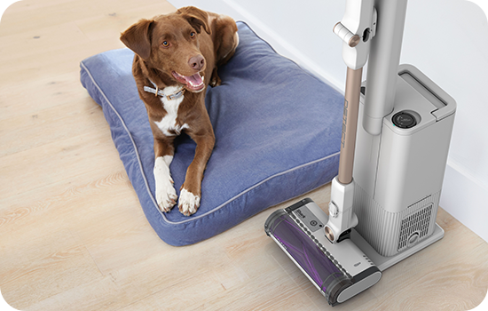 Peria Pet Pro motorizată