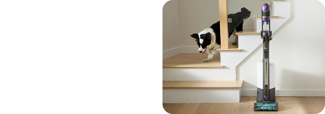 Descoperă performanța curățeniei fără efort