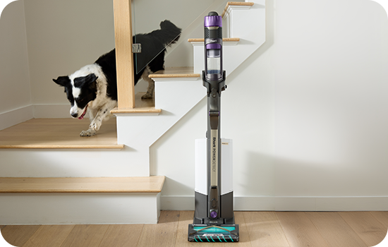 Descoperă performanța curățeniei fără efort