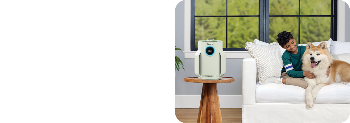 Aer curat, zi și noapte