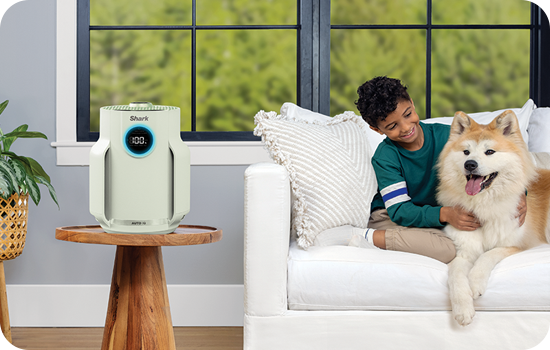 Aer curat, zi și noapte